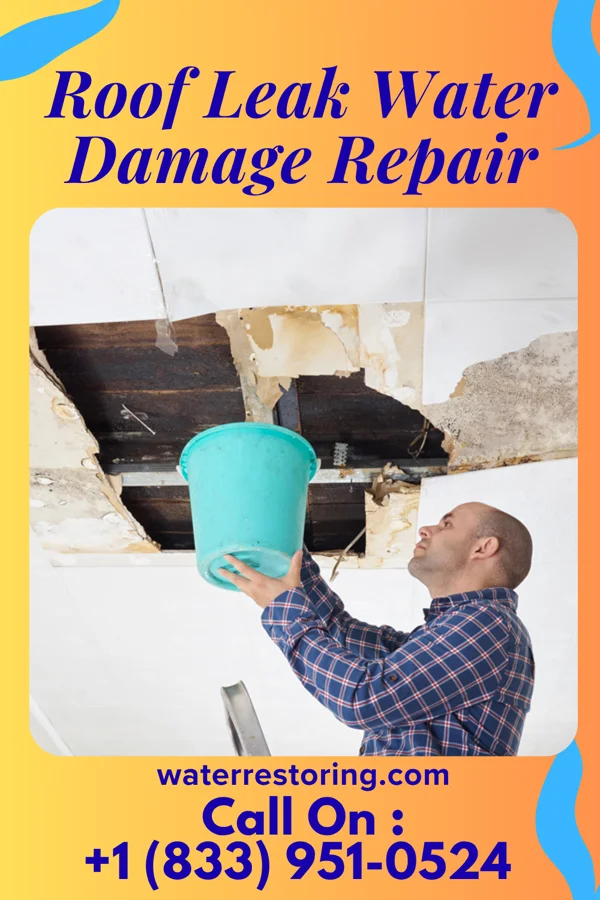 Roof Leak Water Damage Repair in Lankin, ND