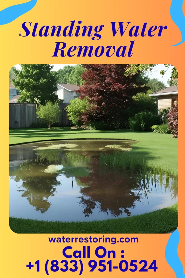 Standing Water Removal in Lankin, ND